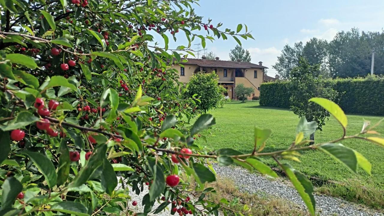 Вилла Il Chiassetto Agriturismo No Kids Кашина Экстерьер фото