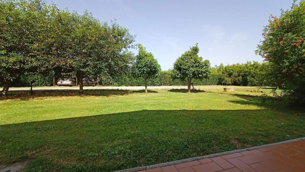 Il Chiassetto Agriturismo No Kids Кашина Экстерьер фото