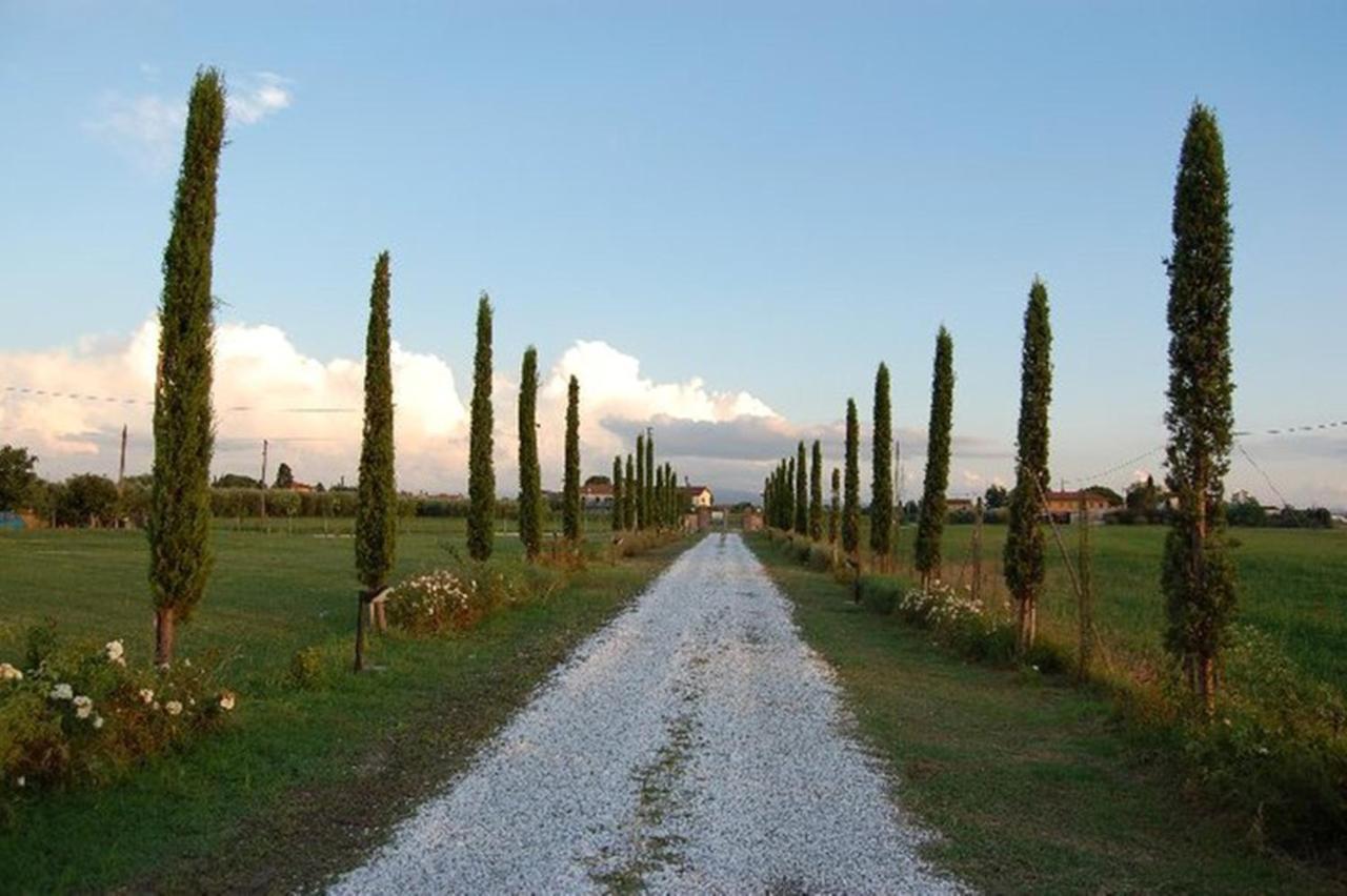 Вилла Il Chiassetto Agriturismo No Kids Кашина Экстерьер фото